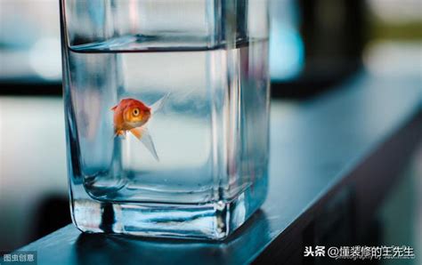 魚死了怎麼處理|魚缸里的魚死了，撈出來後，後面的程序你知道嗎？